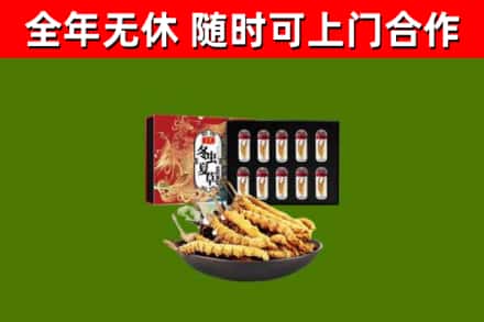 固始县回收冬虫夏草价格